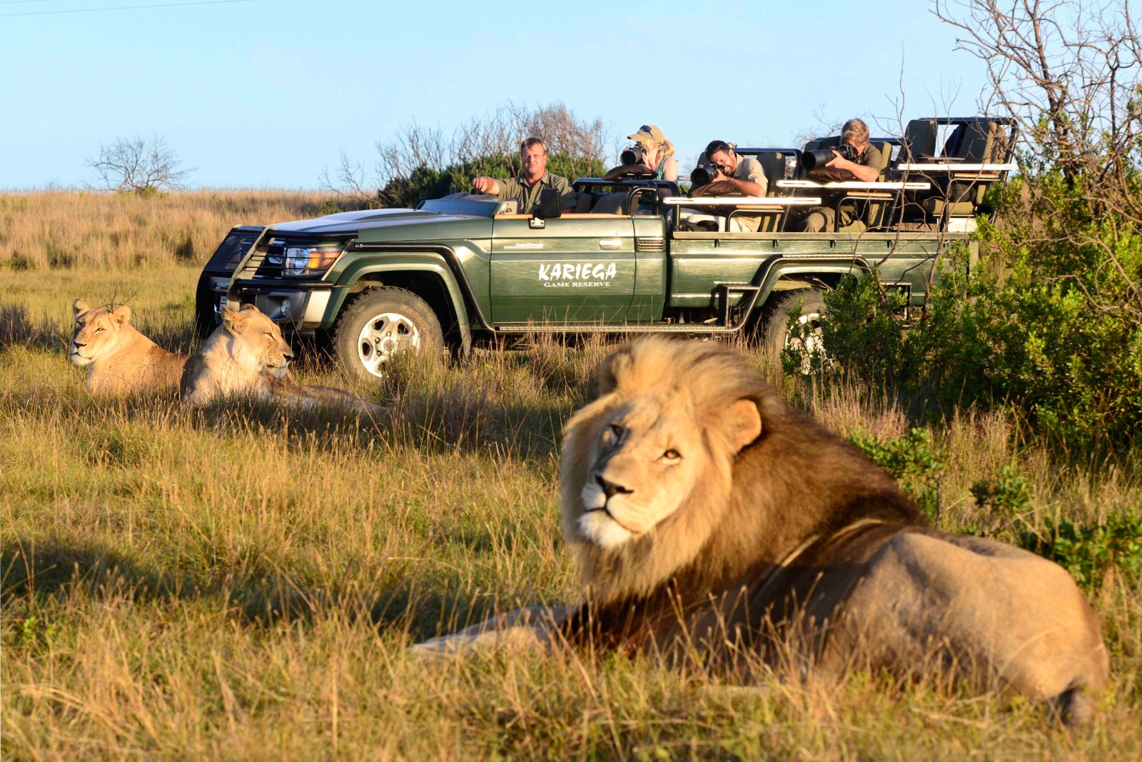 Day 9: Kwantu - Safari Experience